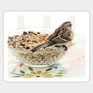 Seeds to Savour  No.1 Sparrow Sticker